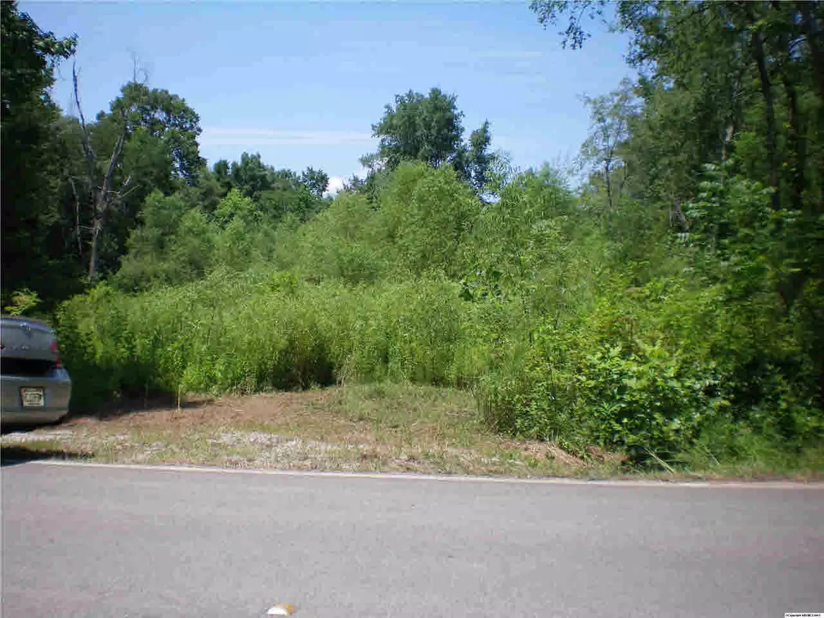 Toney, AL 35773,1411 Opp Reynolds Road