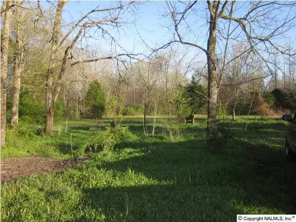 Toney, AL 35773,29975 Wooley Springs Road