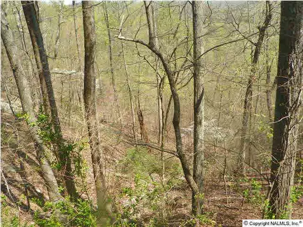 Grant, AL 35747,0 Anderson Ridge Road