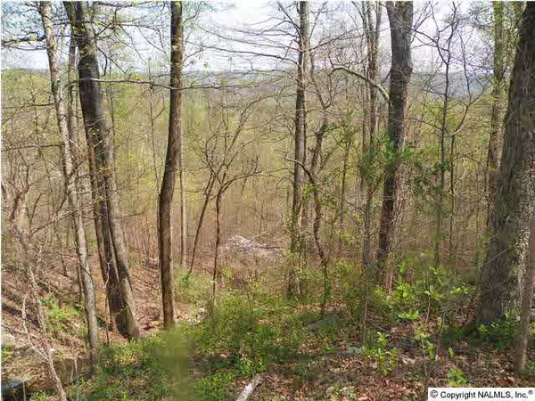 0 Anderson Ridge Road, Grant, AL 35747