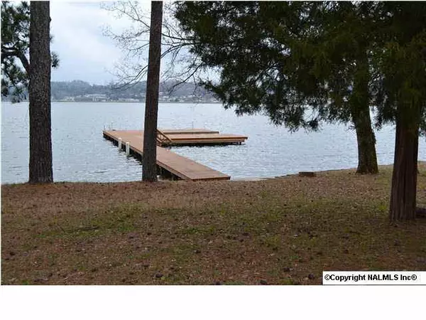 Guntersville, AL 35976,Wyeth Drive