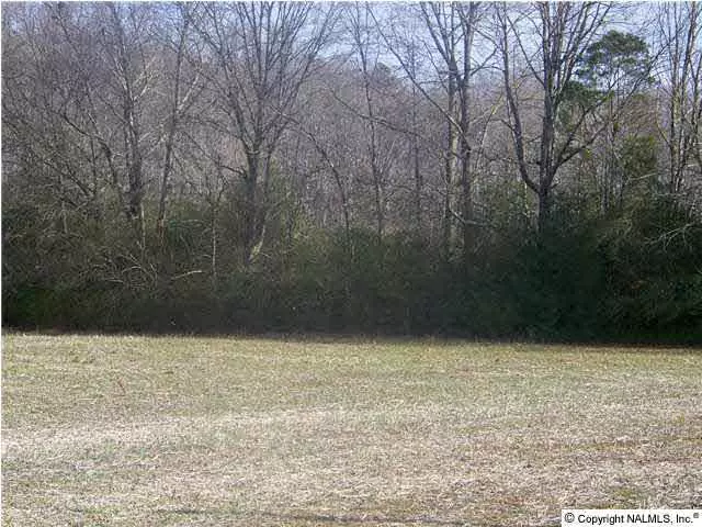 0 Beaver Dam Road, Toney, AL 35773