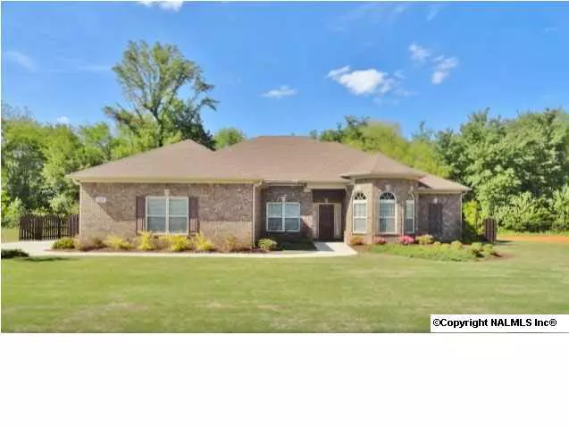 114 Twin Springs Drive, Harvest, AL 35757