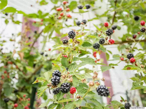 Huntsville, AL 35811,213 Hollington Drive