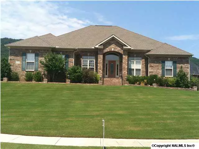 4503 Tree Ridge Circle, Owens Cross Roads, AL 35763