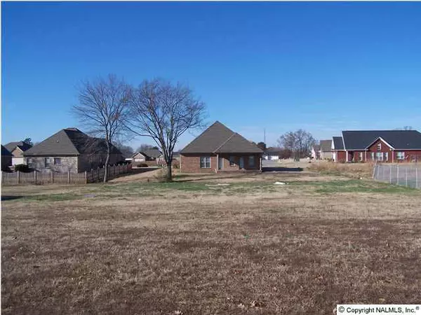 Ardmore, AL 35739,Briar Patch Lane