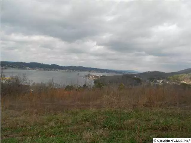 Webb Mountain Estates, Guntersville, AL 35976