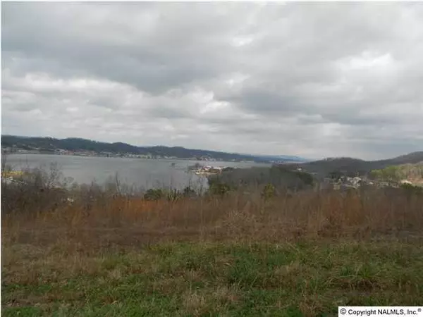 Guntersville, AL 35976,Webb Mountain Estates