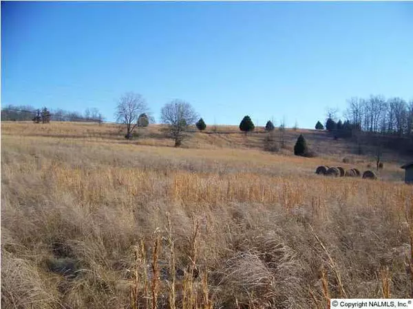 Goodspring, TN 38460,Shannon Creek Road