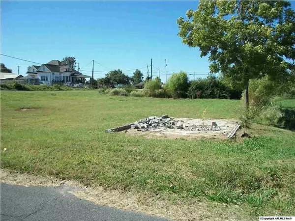 Albertville, AL 35950,Albert Street