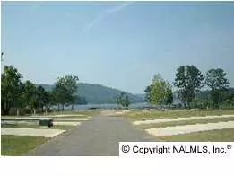 90 County Road 67, Langston, AL 35755