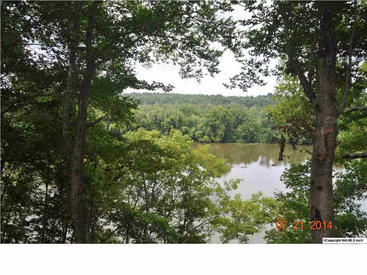 Elkmont, AL 35620,22184 Sandbar Way