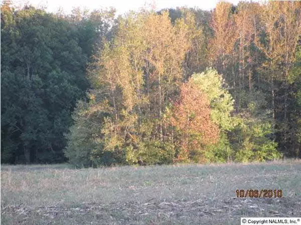 Hazel Green, AL 35750,Boles Road