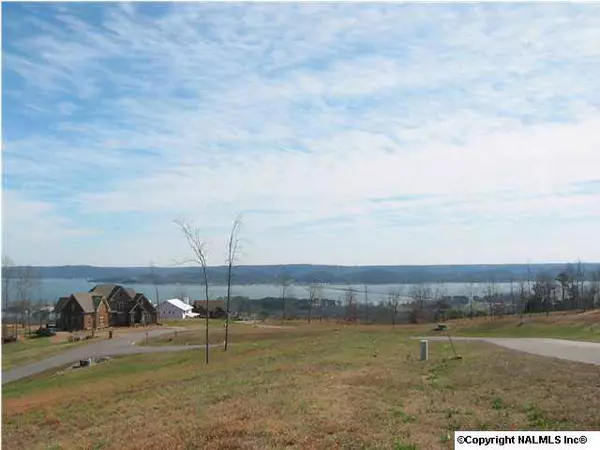 Guntersville, AL 35976,90 Ridgeview Trail