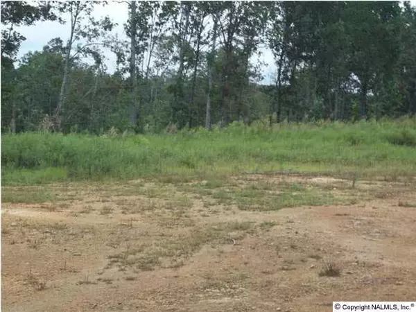 Blountsville, AL 35031,Blue Ridge Road