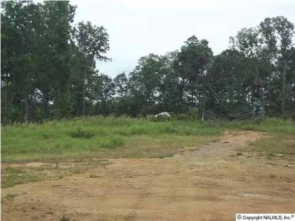 Blountsville, AL 35031,Blue Ridge Road