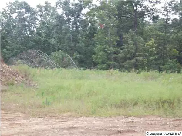 Blountsville, AL 35031,Blue Ridge Road