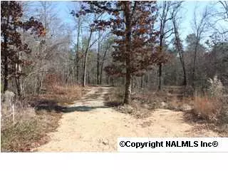 Fort Payne, AL 35967,0 County Road 369