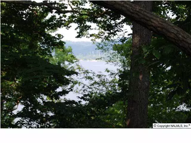 0 Buck Island Drive, Guntersville, AL 35976