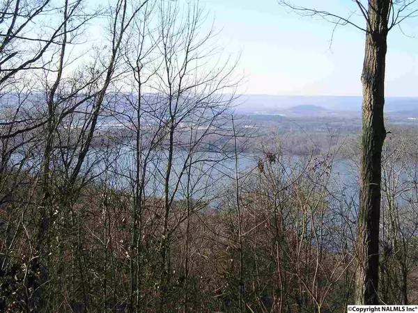 County Road 265, Section, AL 35771