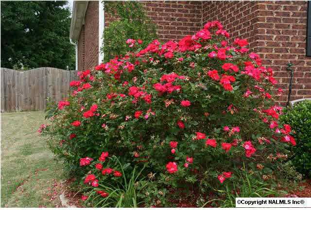 Hartselle, AL 35640,905 Anna Circle