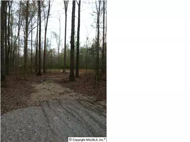 290 Crosswind Road, Toney, AL 35773