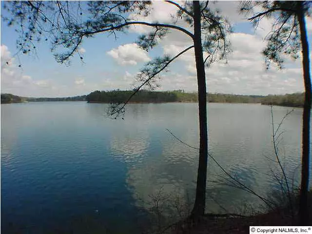 Crane Hill, AL 35053,Clear Water Cove