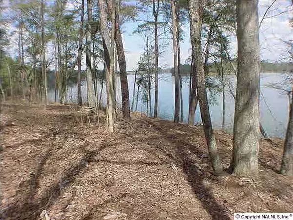 Crane Hill, AL 35053,Clear Water Cove