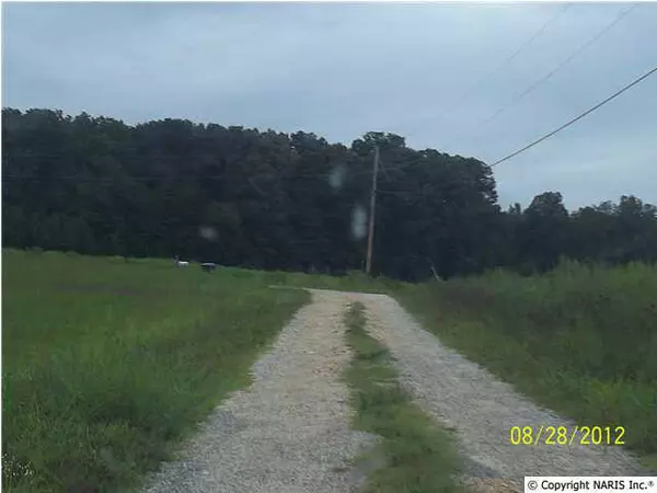 Collinsville, AL 35961,347 Road 1935