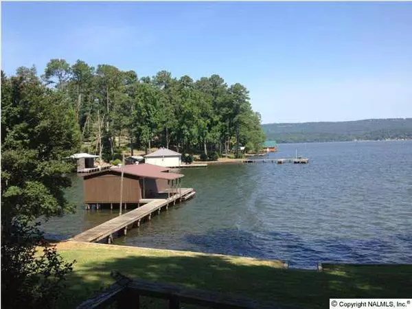 290 Onondaga Circle, Langston, AL 35755