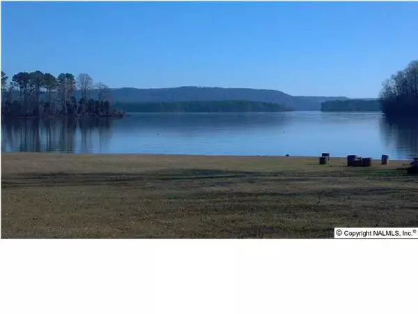 1 Lakeview Drive, Scottsboro, AL 35769