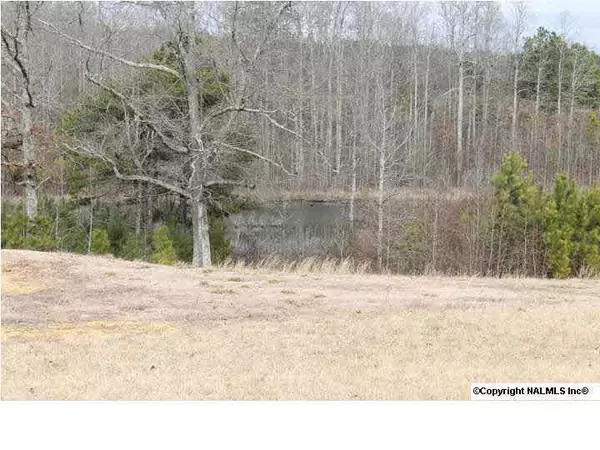 Fort Payne, AL 35967,731 County Road 251