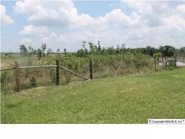 County Road 33, Fyffe, AL 35971