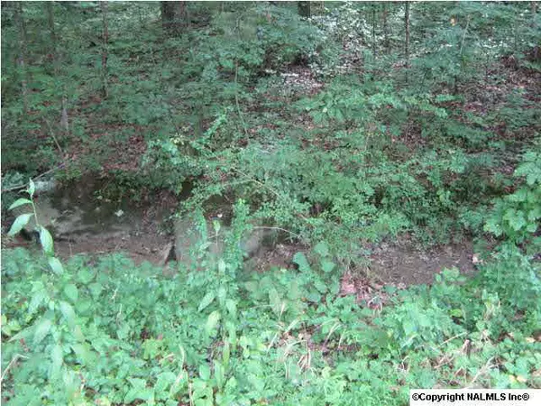 Priceville, AL 35603,129 Price Mountain Drive