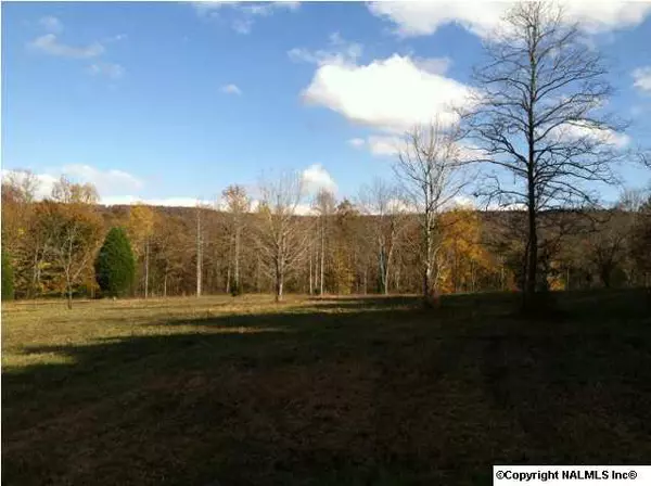 New Market, AL 35761,Hale Mountain (Private) Road