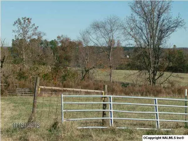 County Road 215, Rainsville, AL 35986