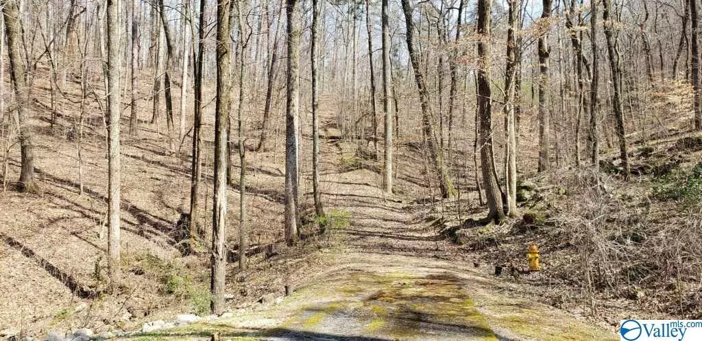 Gadsden, AL 35901,3.2 ACRES Northwoods Trail