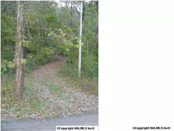 720 Rock Spring Road, Owens Cross Roads, AL 35763