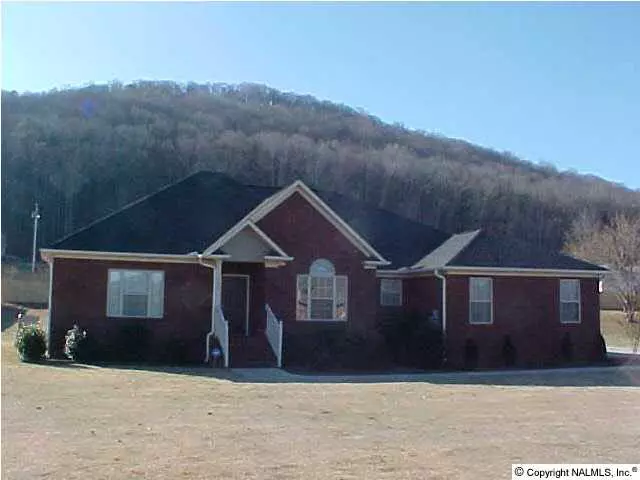 146 Azalea Circle, Guntersville, AL 35976