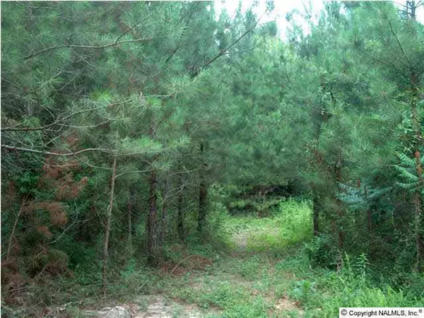 County Road 144, Cedar Bluff, AL 35959