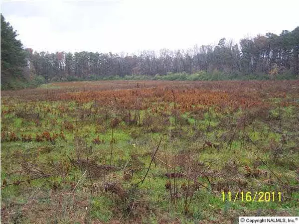 Douglas, AL 35964,Woodham Road