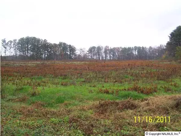 Douglas, AL 35964,Woodham Road