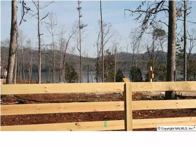 Buck Island Drive #C, Guntersville, AL 35976