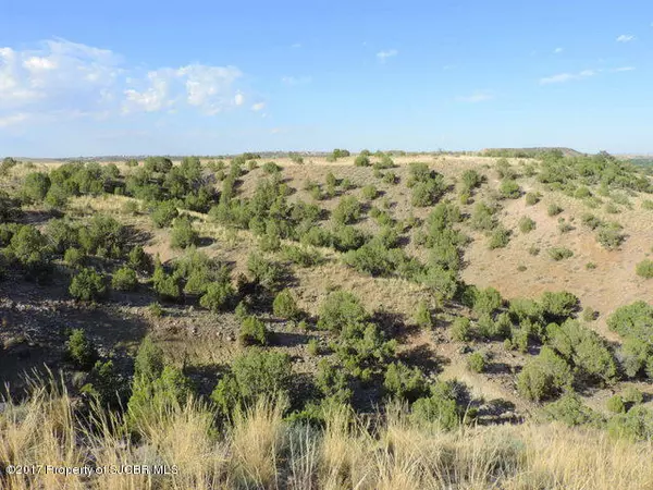 Aztec, NM 87410,NYA 200 AC ROAD 3000