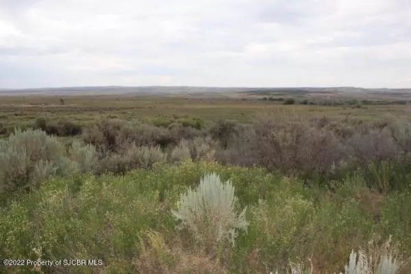 La Plata, NM 87418,XXX ROAD 1300