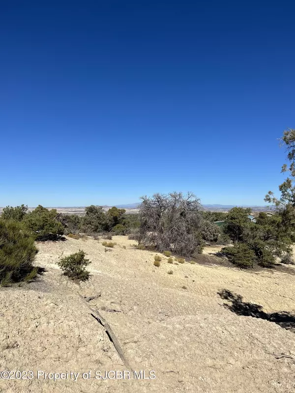Aztec, NM 87410,LOT 7 ROAD 2553