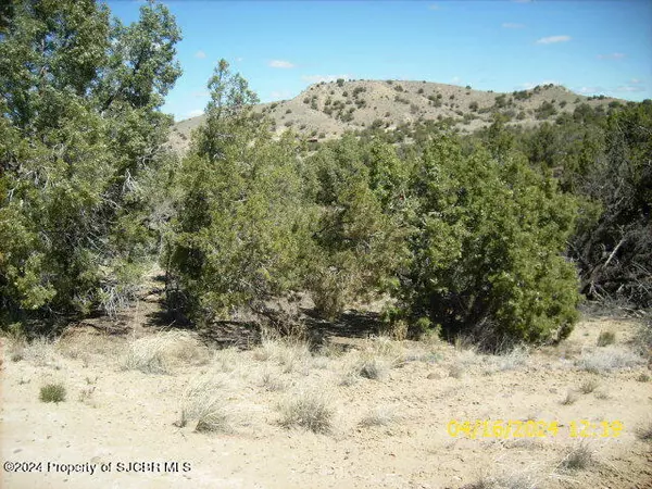 Aztec, NM 87410,XX ROAD 3179