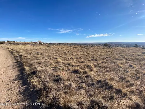 Farmington, NM 87401,1 AC XX ROAD 3950
