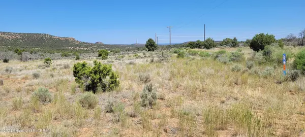 Navajo Dam, NM 87419,LOTS 85,91 NM 511