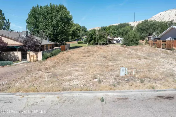 Bloomfield, NM 87413,X CHOLLA